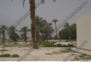 Photo Texture of Landscape Dendera 0181